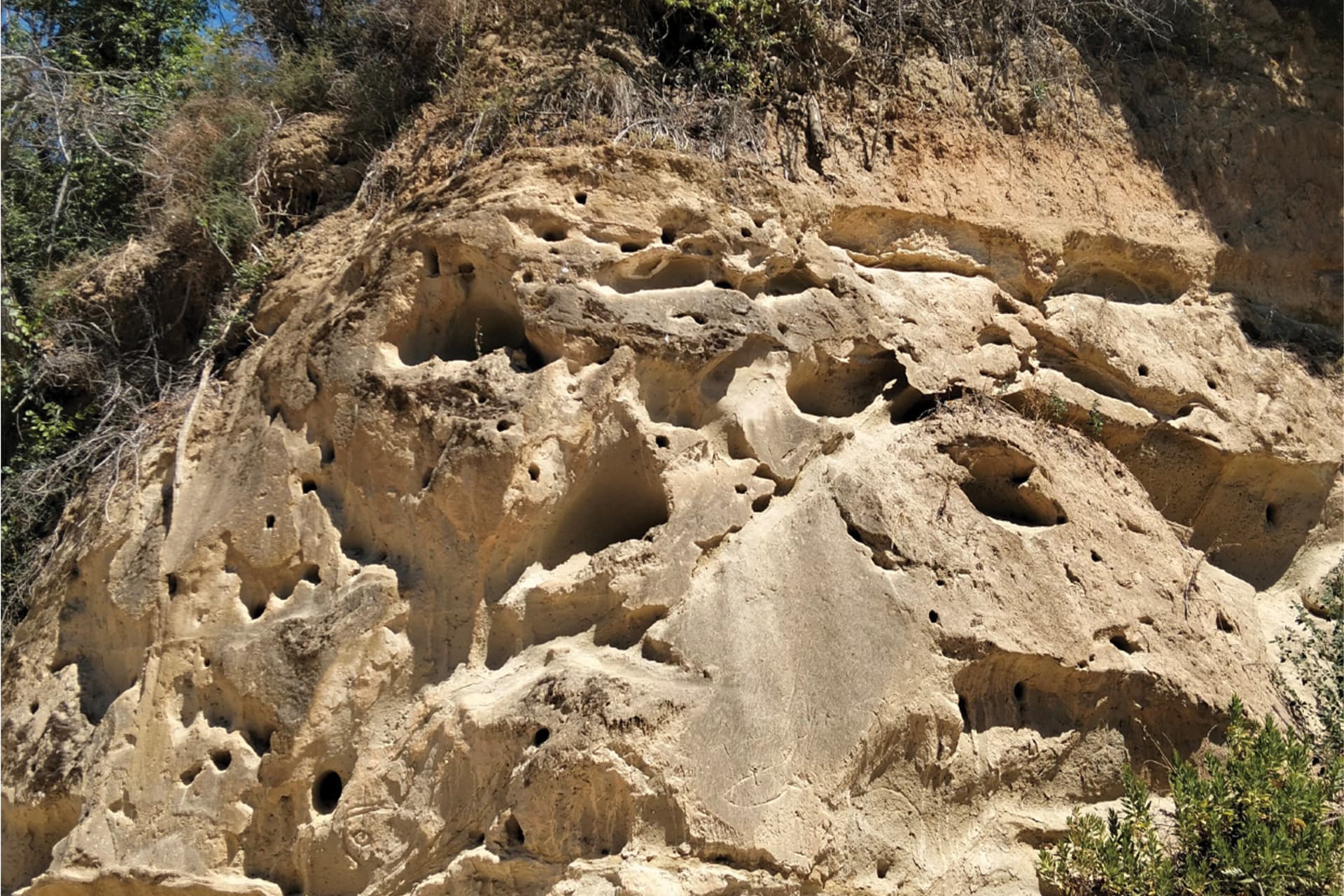 descrizione immagine