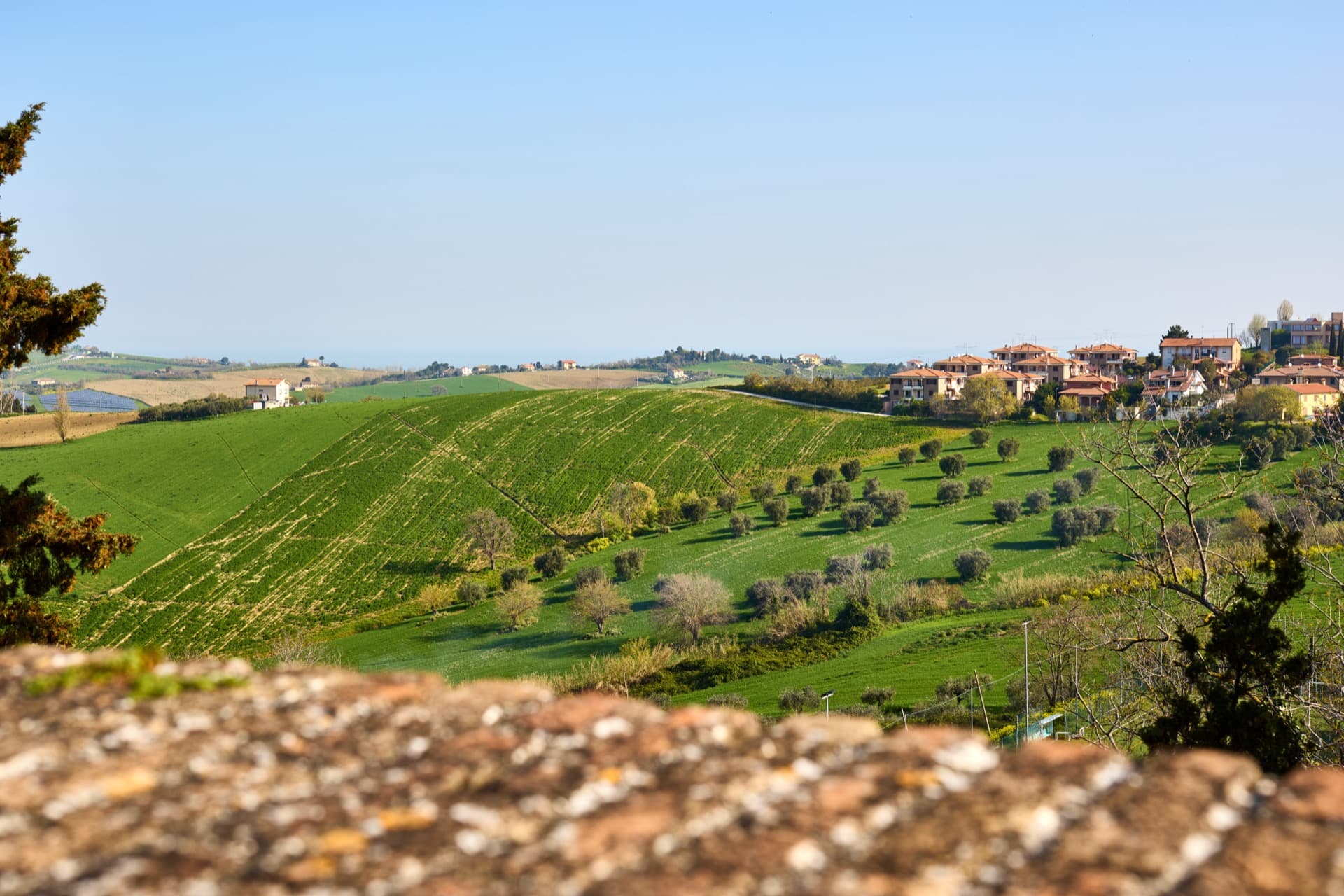 descrizione immagine